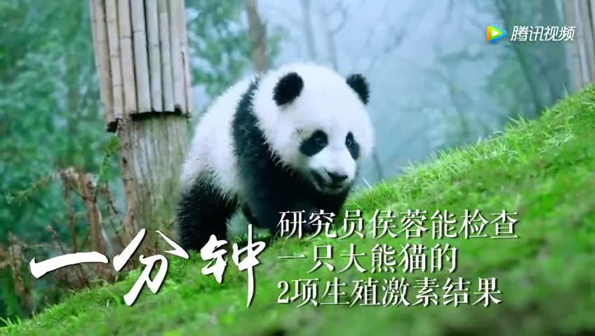 [视频]大片又来！国家形象系列宣传片：中国一分钟