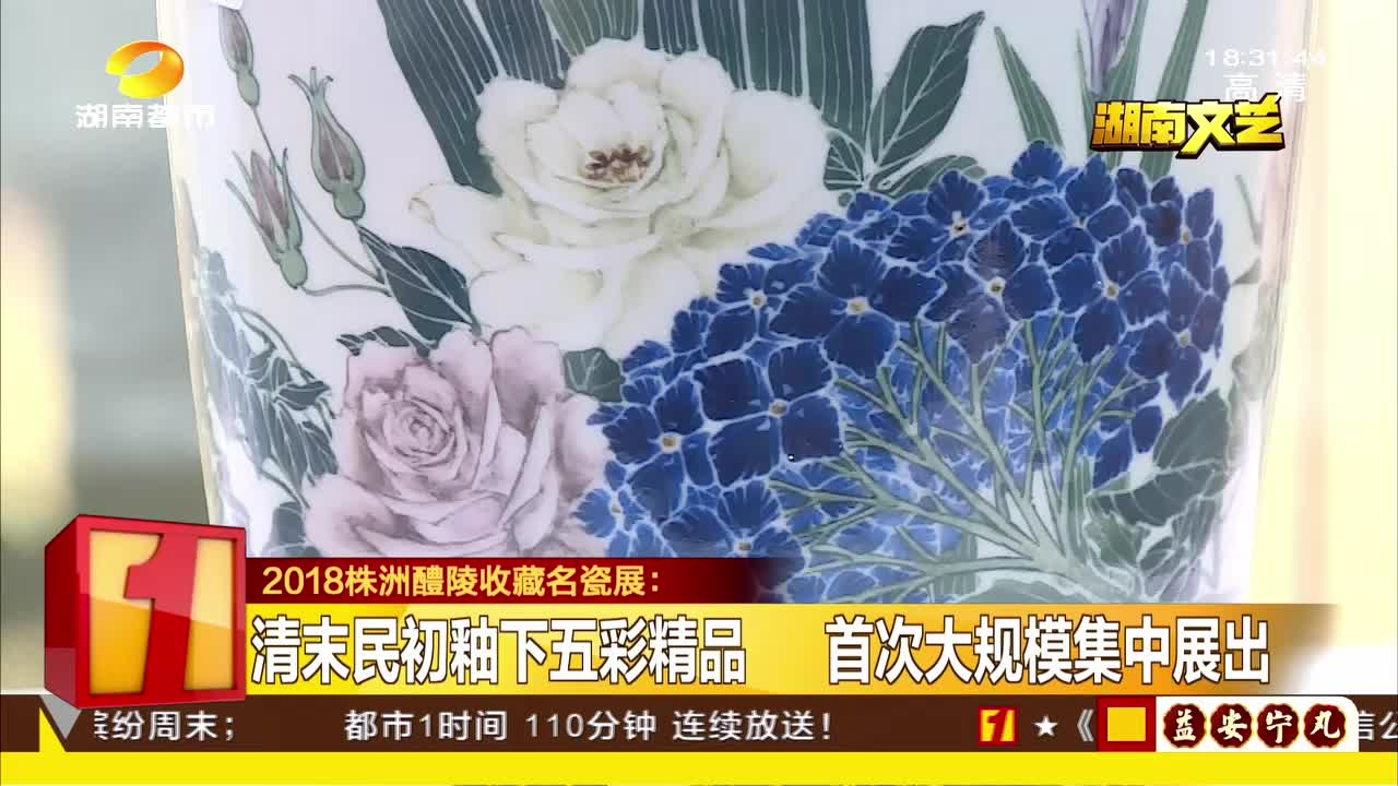 2018株洲醴陵收藏名瓷展