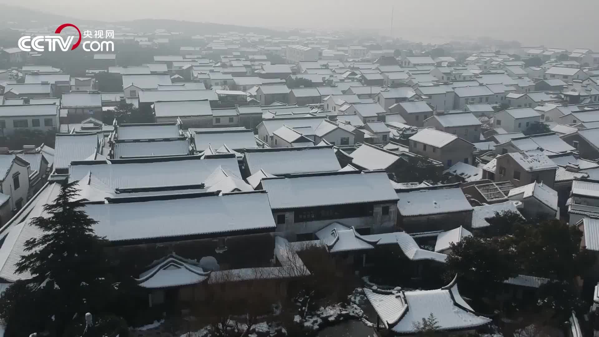 [视频]【中国微故事春节策划·希望的田野】跨越千年的“奇缘”