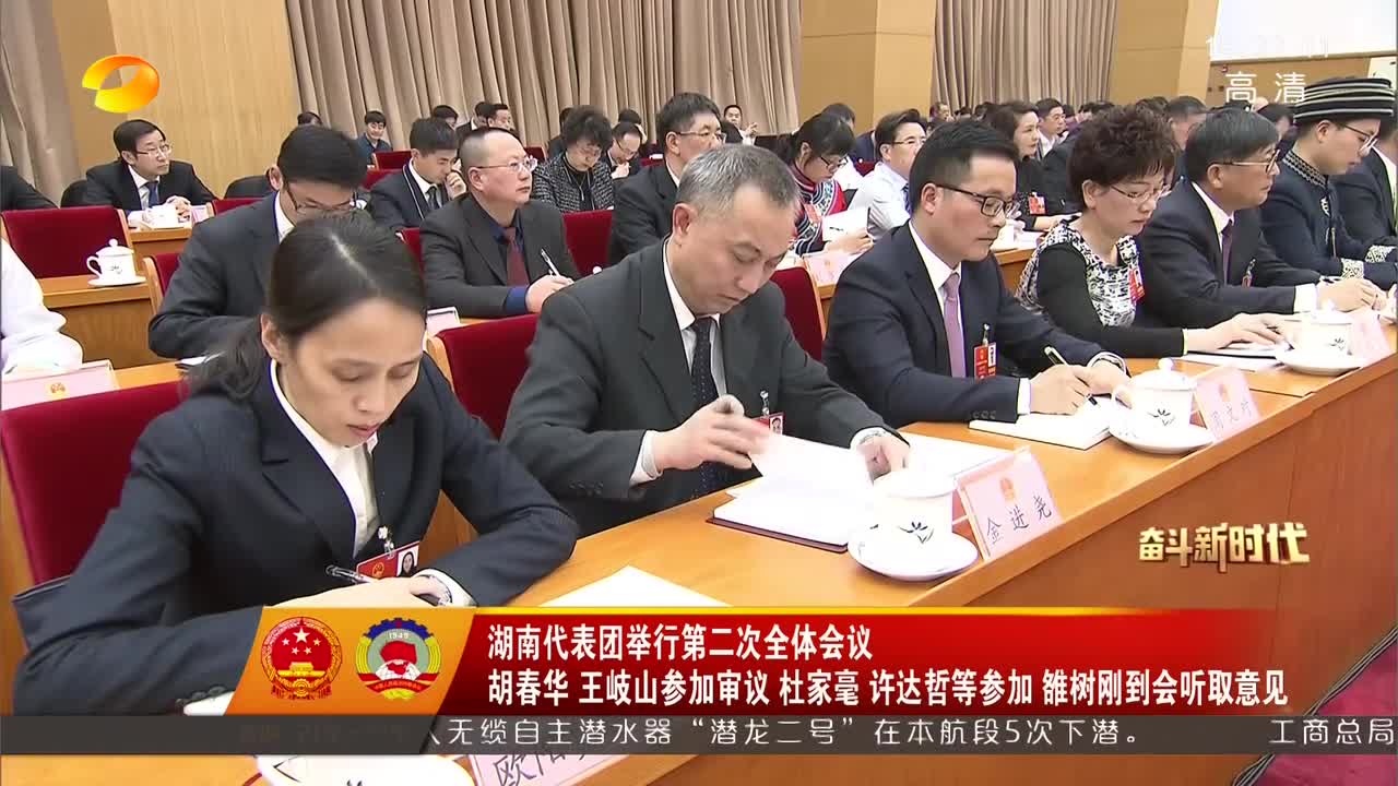 湖南代表团举行第二次全体会议 胡春华 王岐山参加审议 杜家毫 许达哲等参加 雒树刚到会听取意见