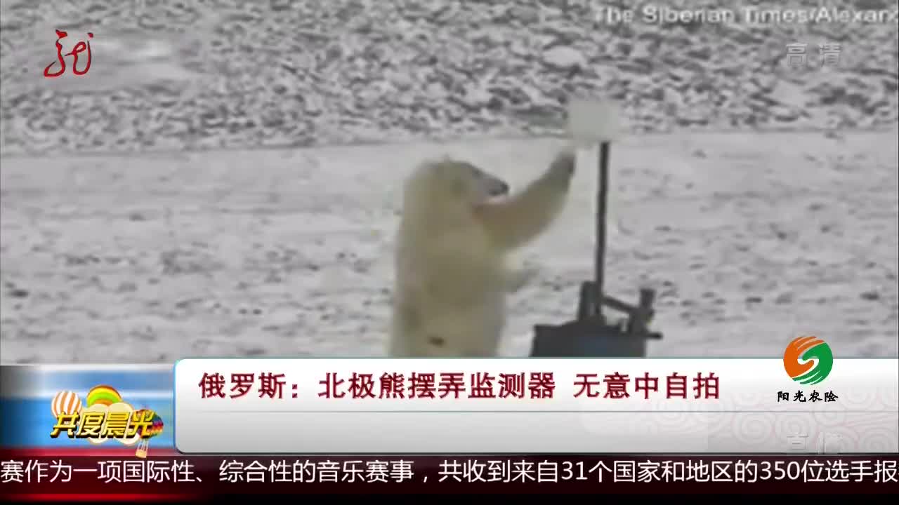 [视频]俄罗斯：北极熊摆弄监测器 无意中自拍
