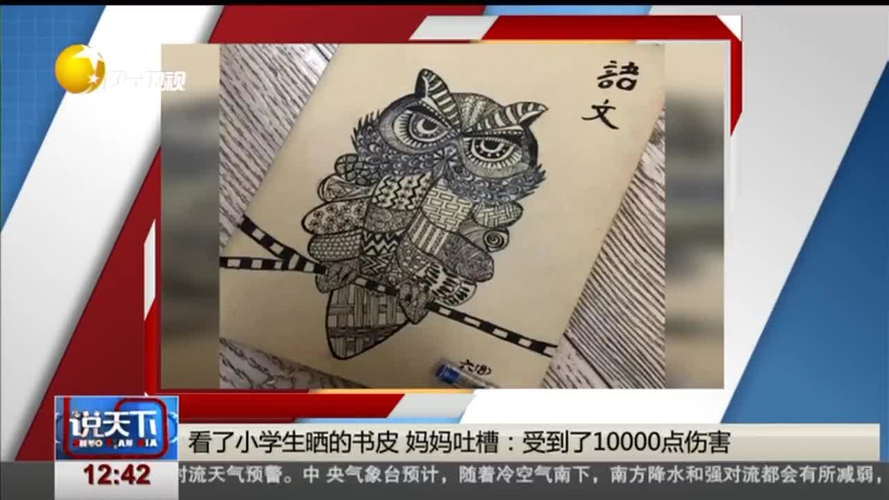 [视频]看了小学生晒的书皮 妈妈吐槽：受到了10000点伤害