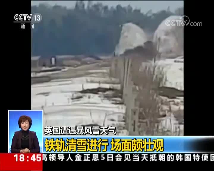 [视频]英国遭遇暴风雪天气 铁轨清雪进行 场面颇壮观