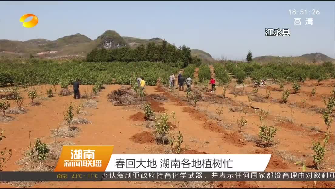 春回大地 湖南各地植树忙