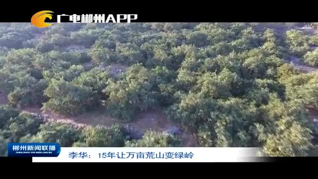 李华：15年让万亩荒山变绿岭