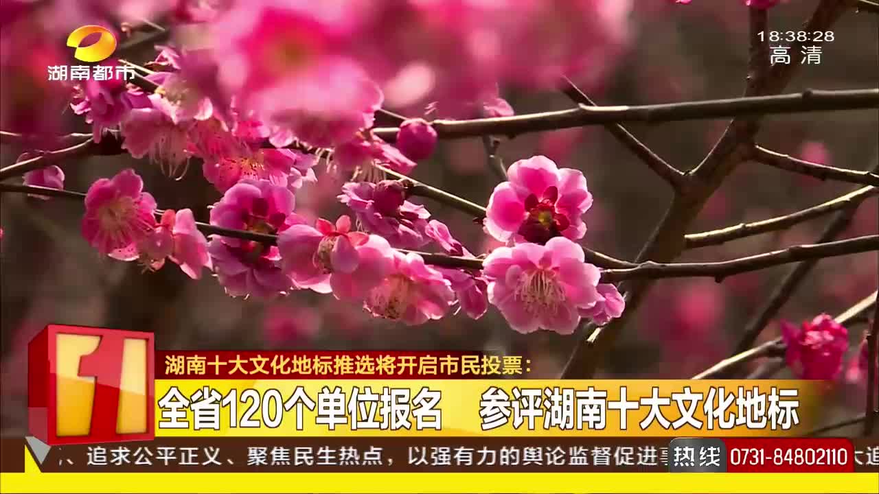 湖南十大文化地标推选将开启市民投票