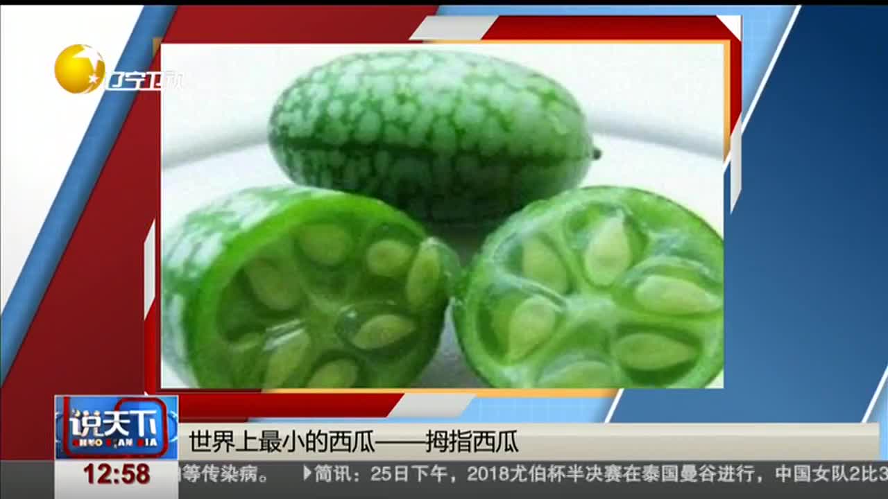 [视频]世界上最小的西瓜——拇指西瓜