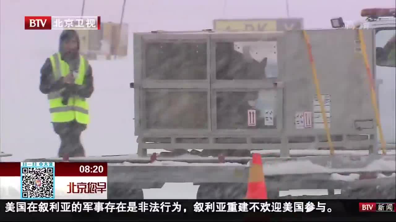 [视频]中国大熊猫“华豹”和“金宝宝”顺利运抵芬兰