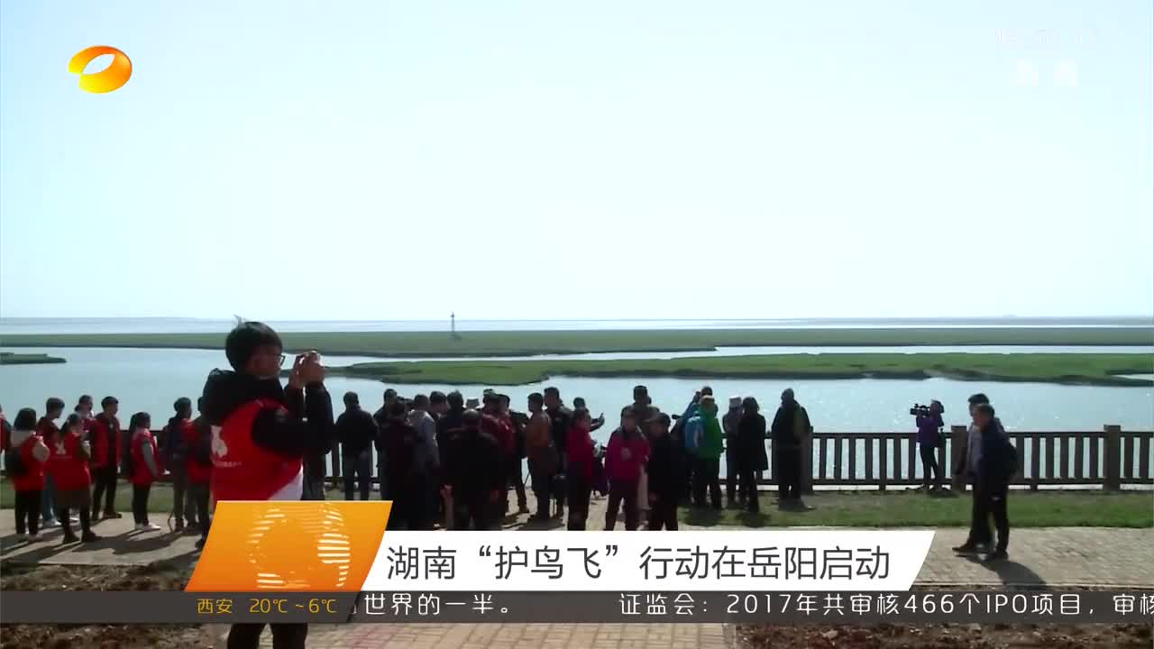 湖南“护鸟飞”行动在岳阳启动