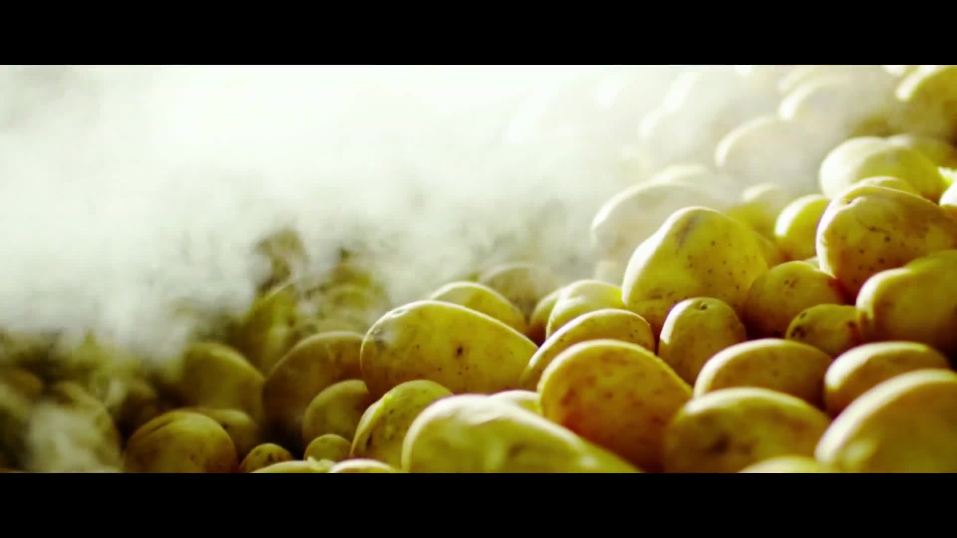 [视频]《宁夏故事》：土豆盛宴