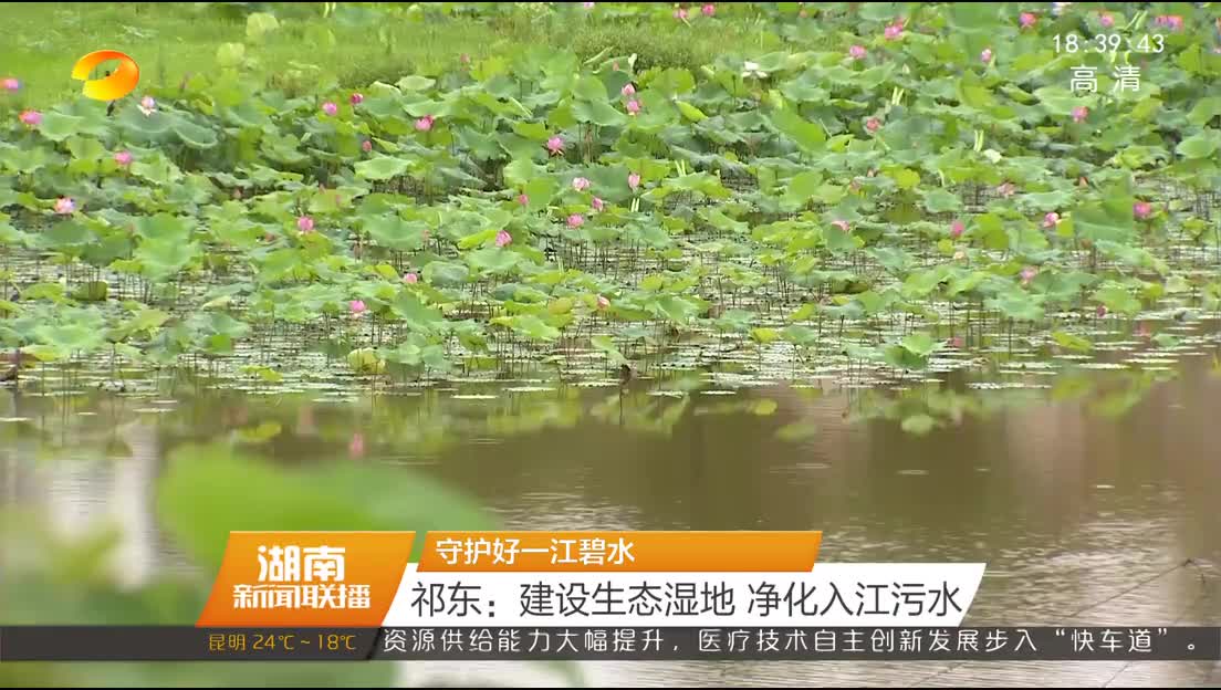 守护好一江碧水 祁东：建设生态湿地 净化入江污水