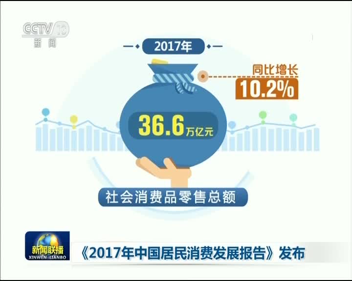 [视频]《2017年中国居民消费发展报告》发布