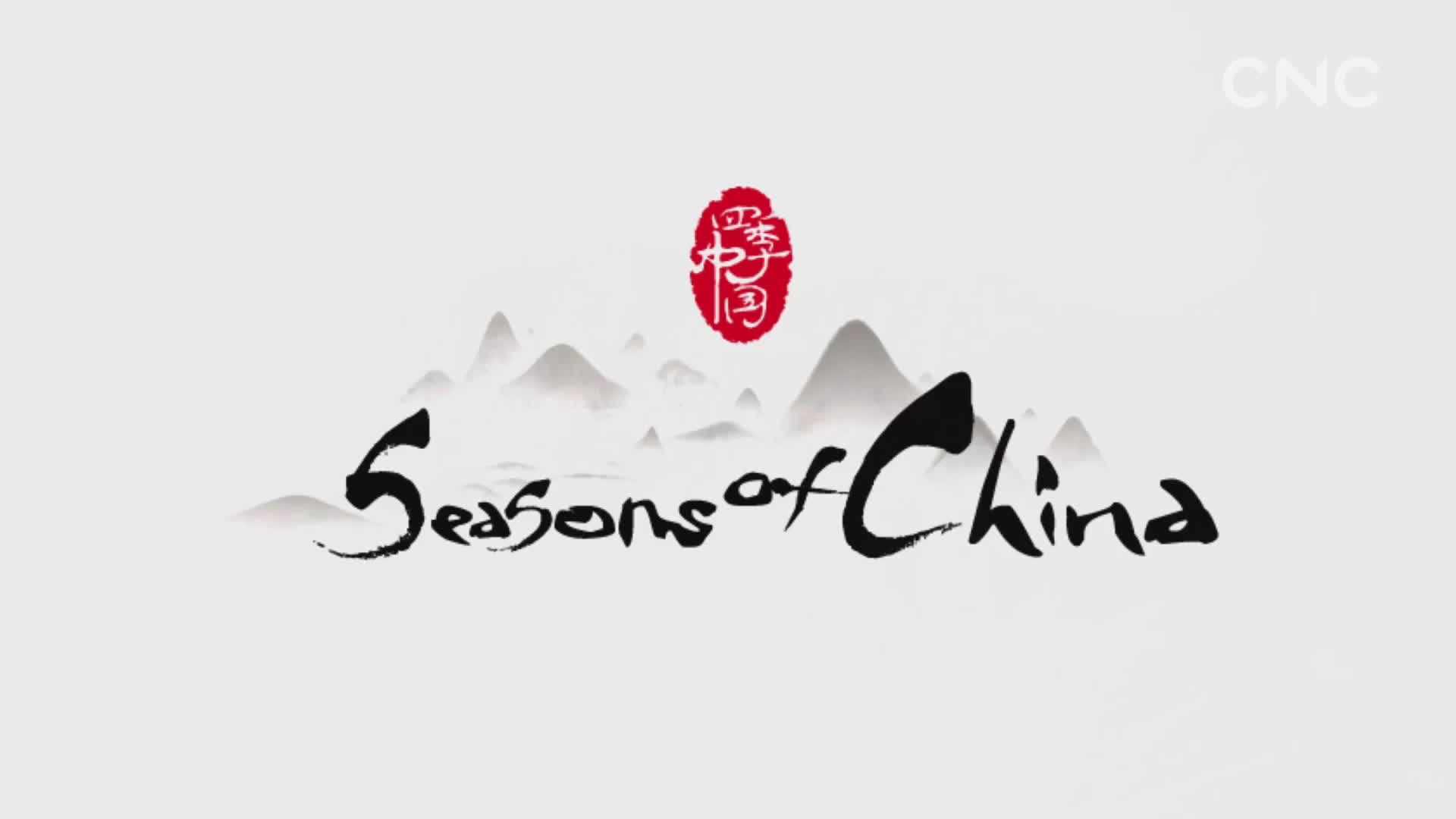 《四季中国》第三集《惊蛰》：春雷乍动