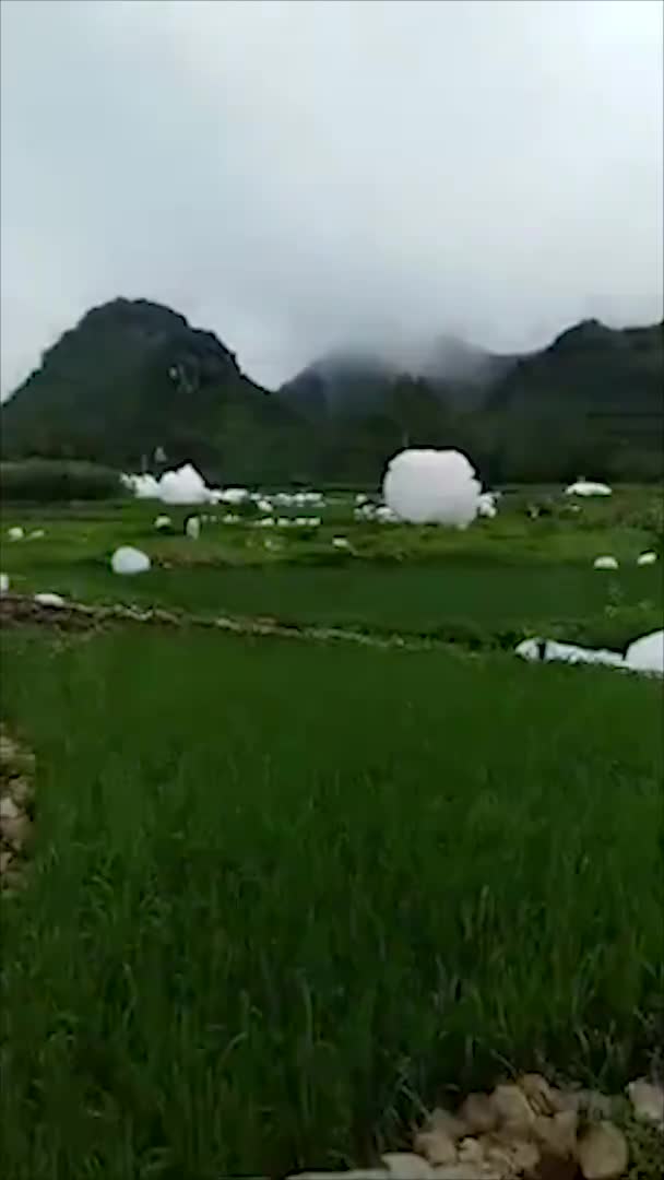 [视频]田野乡间惊现梦幻奇观 “泡泡龙”涌出沟渠吓坏村民