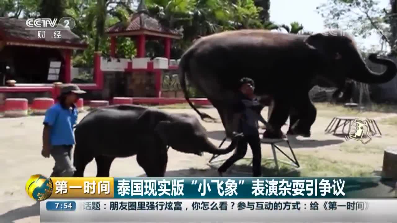 [视频]泰国现实版“小飞象”表演杂耍引争议