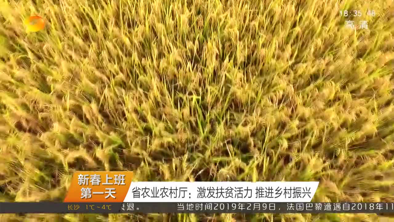 （新春上班第一天）省农业农村厅：激发扶贫活力 推进乡村振兴