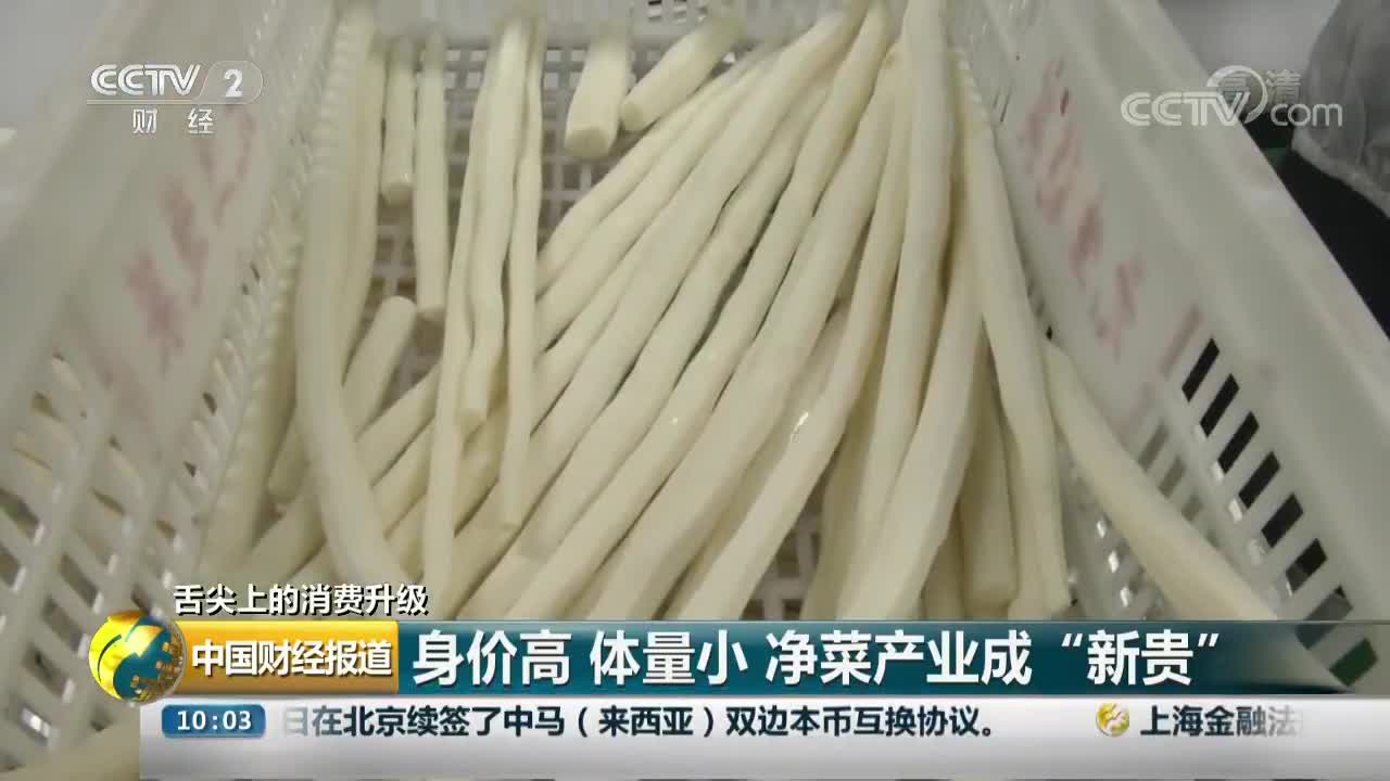 [视频]身价高 体量小 净菜产业成“新贵”