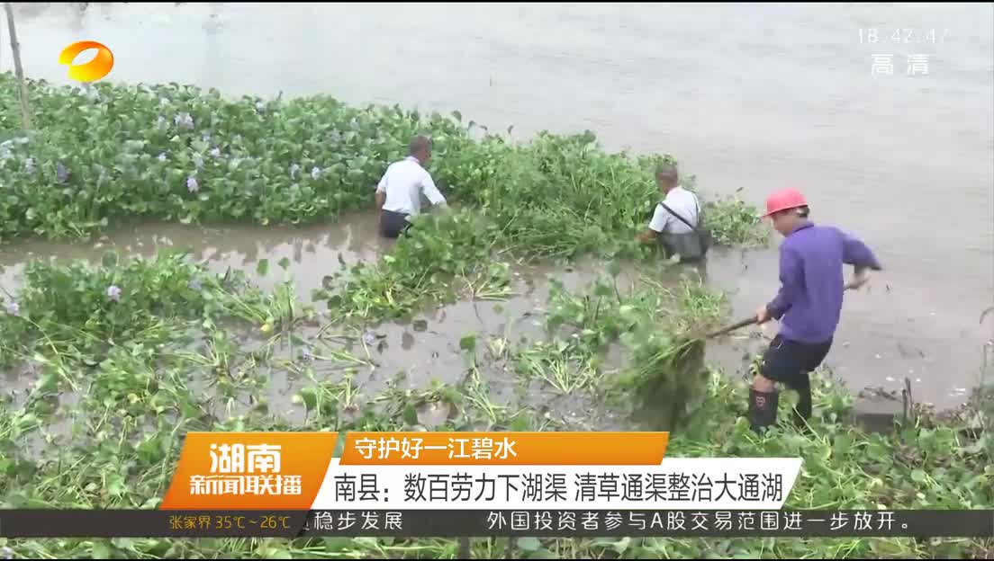 守护好一江碧水 南县：数百劳力下湖渠 清草通渠整治大通湖