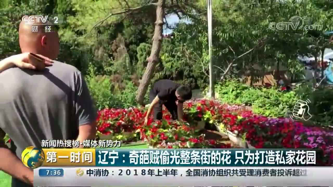 [视频]辽宁：奇葩贼偷光整条街的花 只为打造私家花园