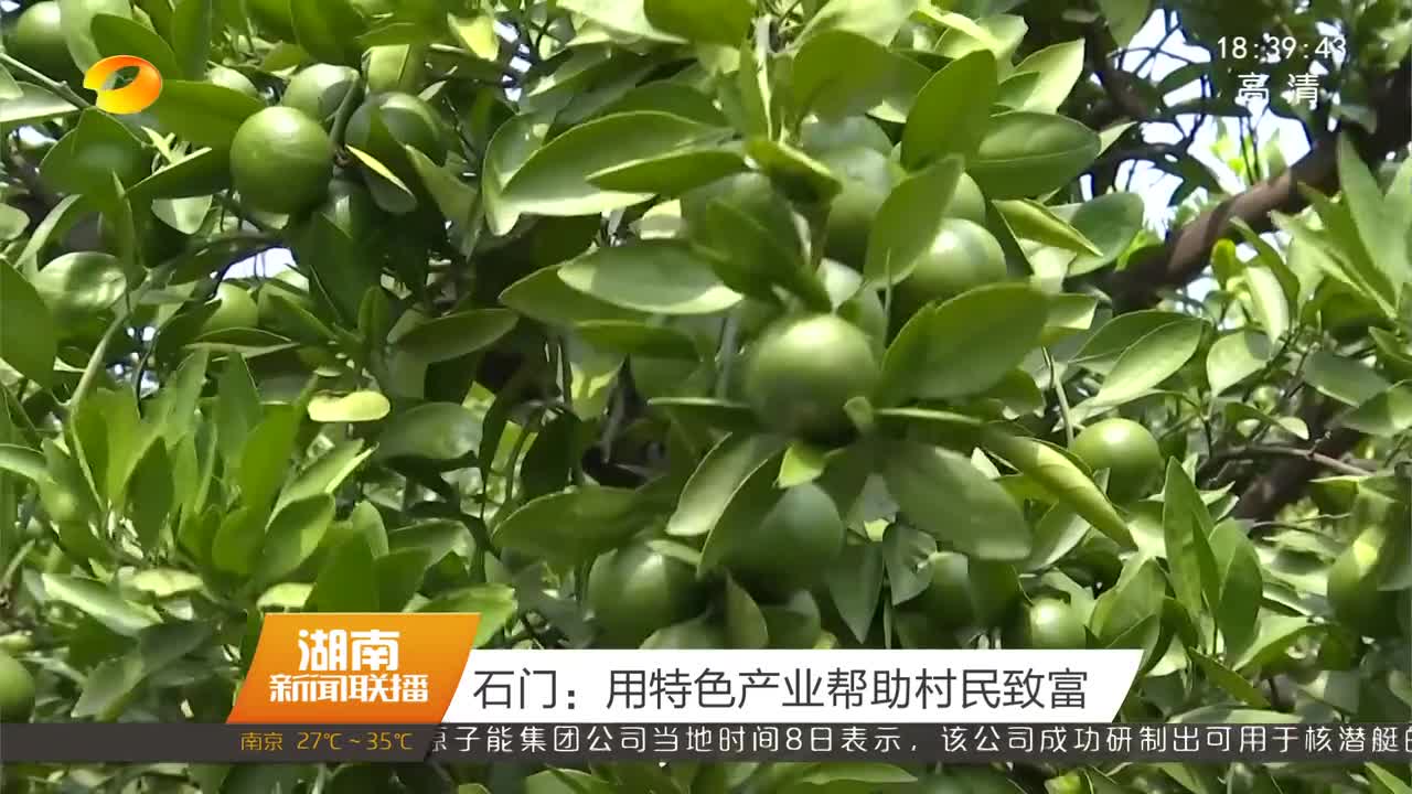 石门：用特色产业帮助村民致富