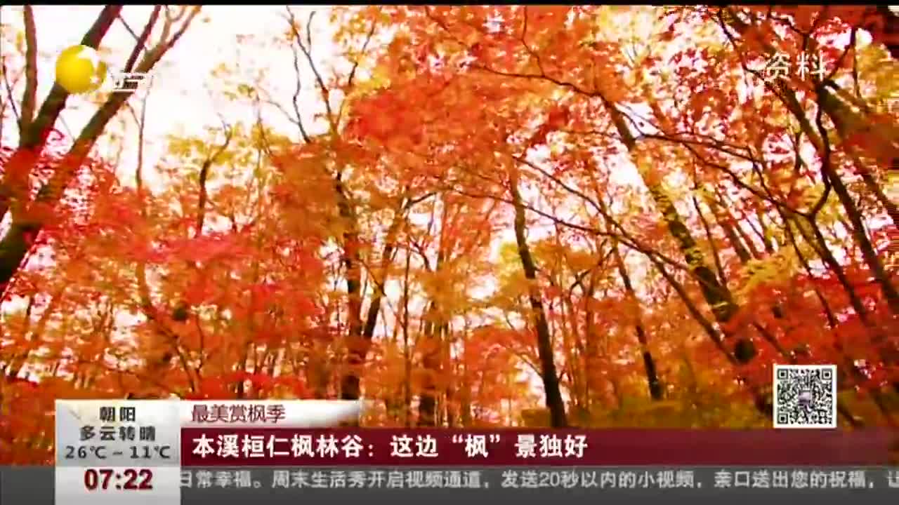 [视频]最美赏枫季 本溪桓仁枫林谷：这边“枫”景独好