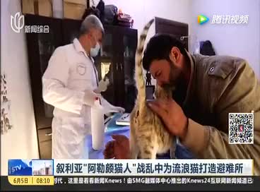 [视频]叙利亚“阿勒颇猫人”战乱中为流浪猫打造避难所