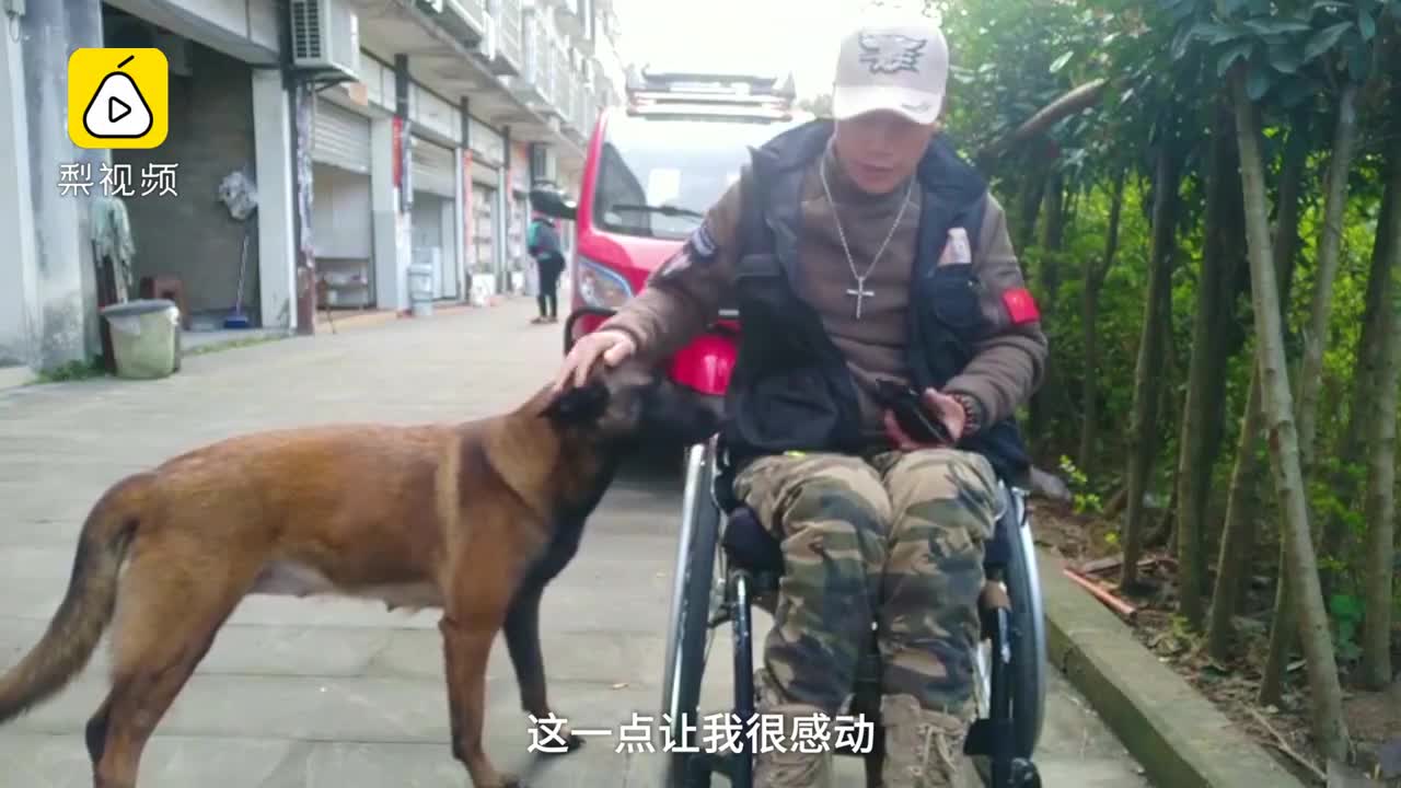 [视频]他坐10年轮椅未出门 因狗改变生活