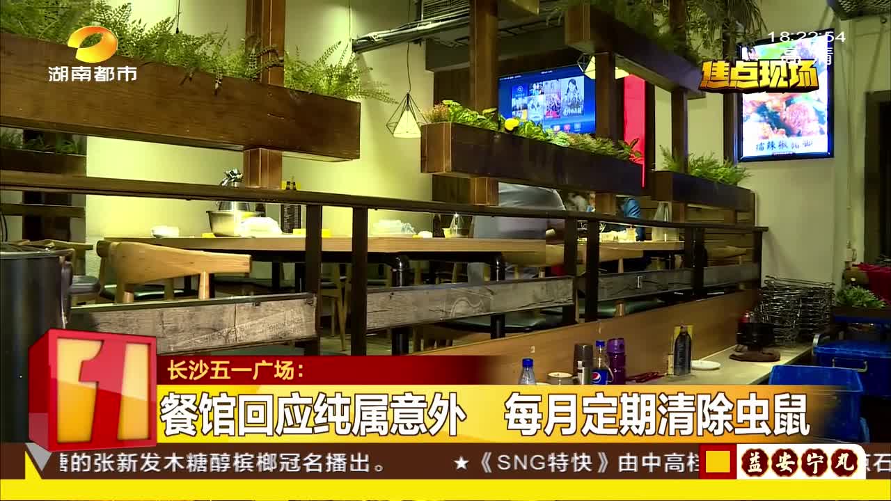 餐馆用餐天花板滴水 竟来自死老鼠