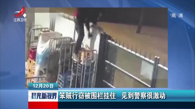 [视频]笨贼行窃被围栏挂住 见到警察很激动