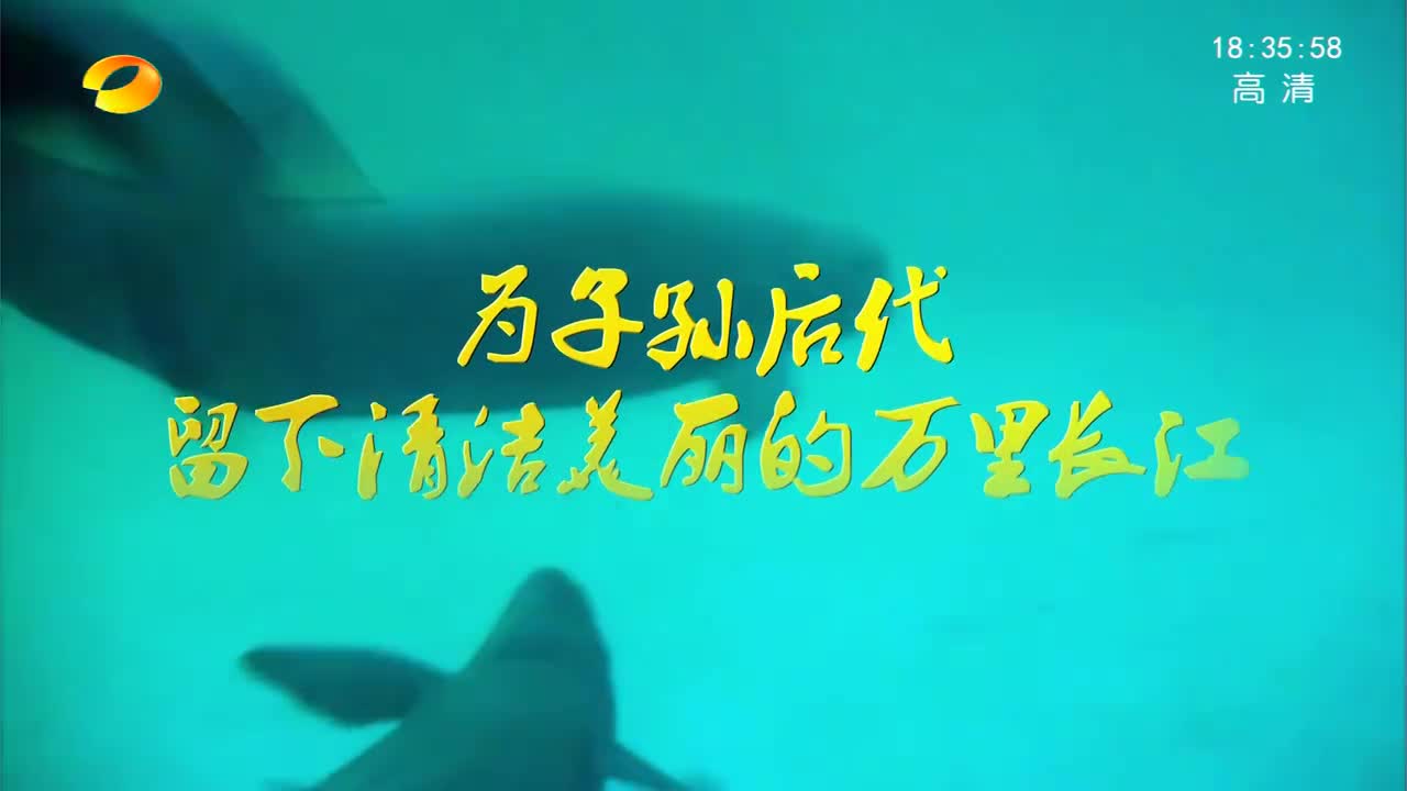 岳阳君山：转型生态农业 守护江湖碧水