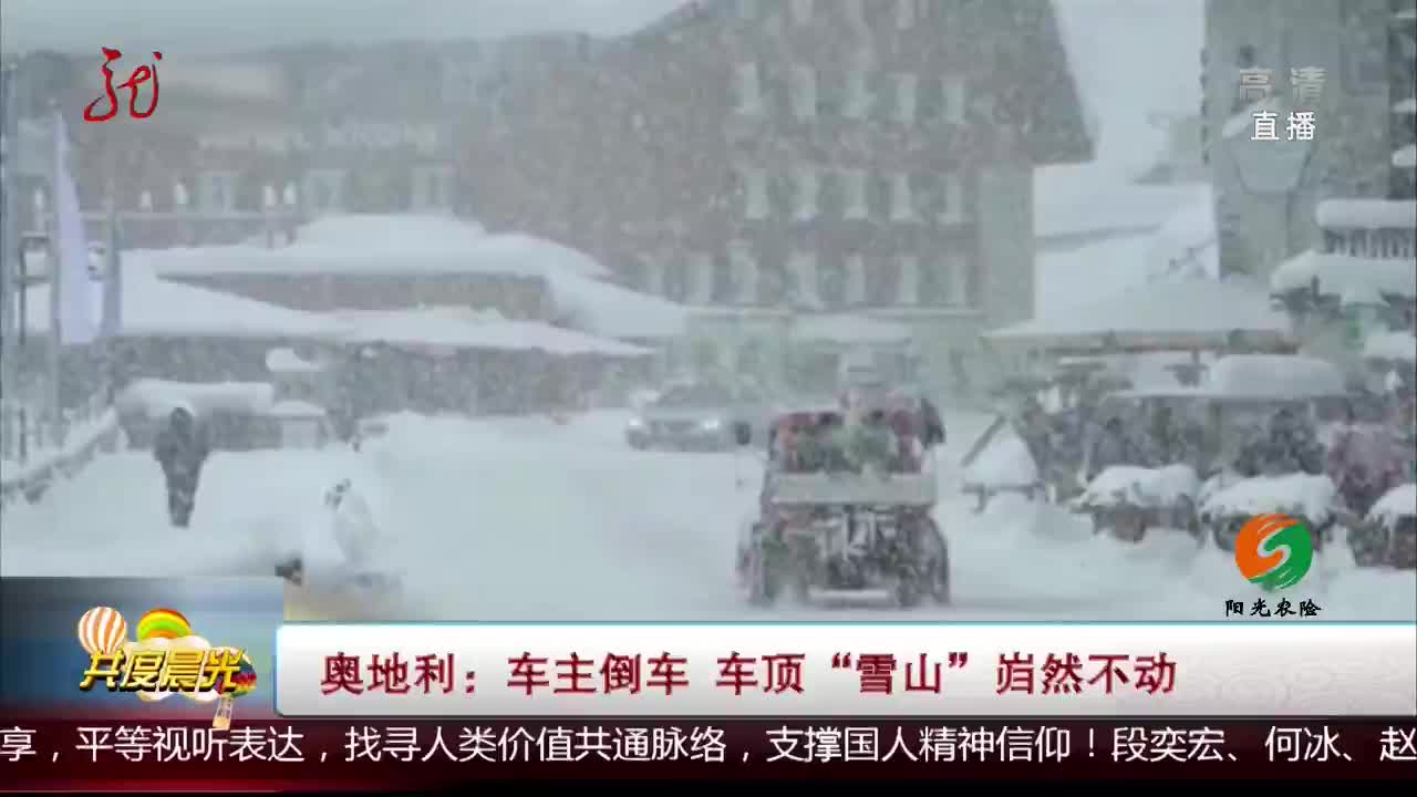 [视频]奥地利：车主倒车 车顶“雪山”岿然不动