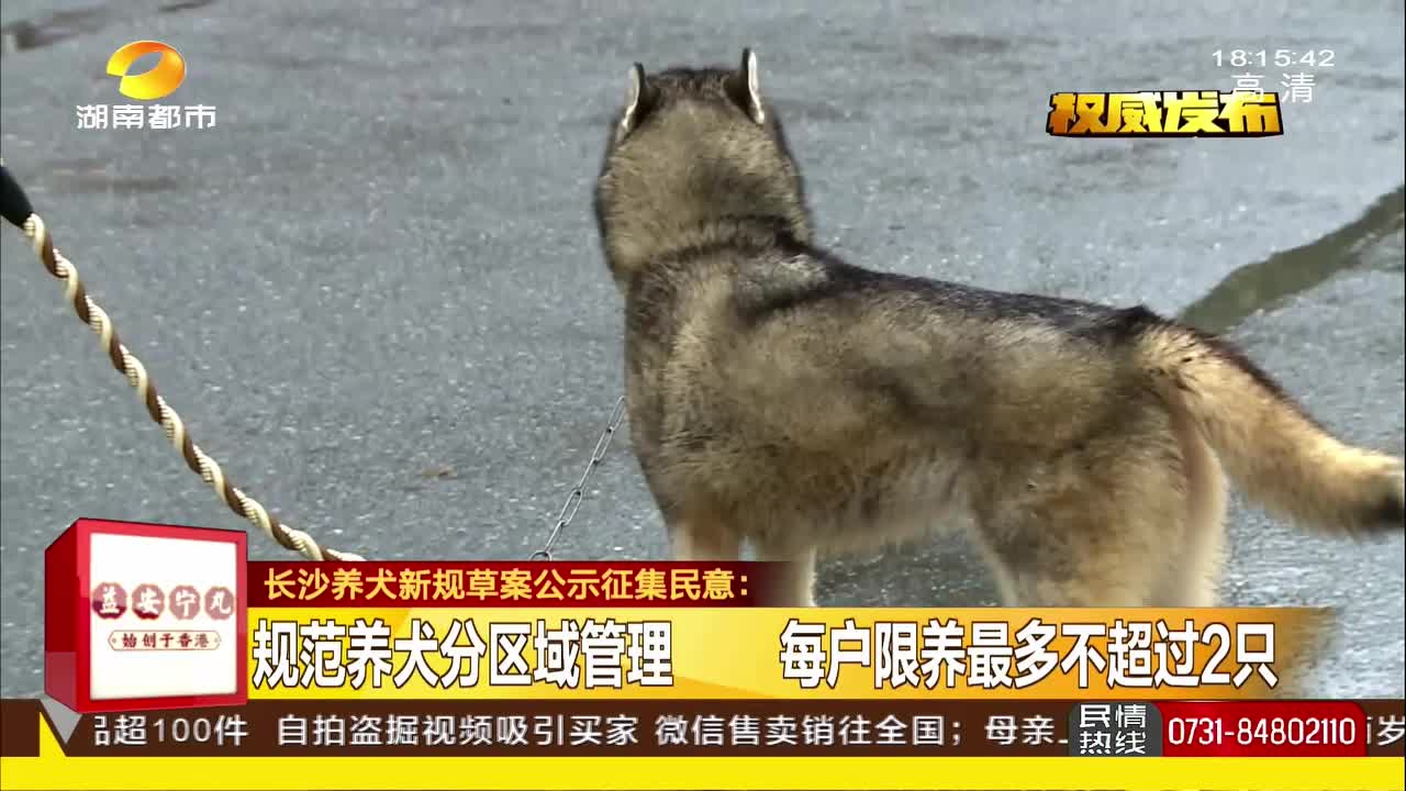 长沙养犬新规草案公示征集民意