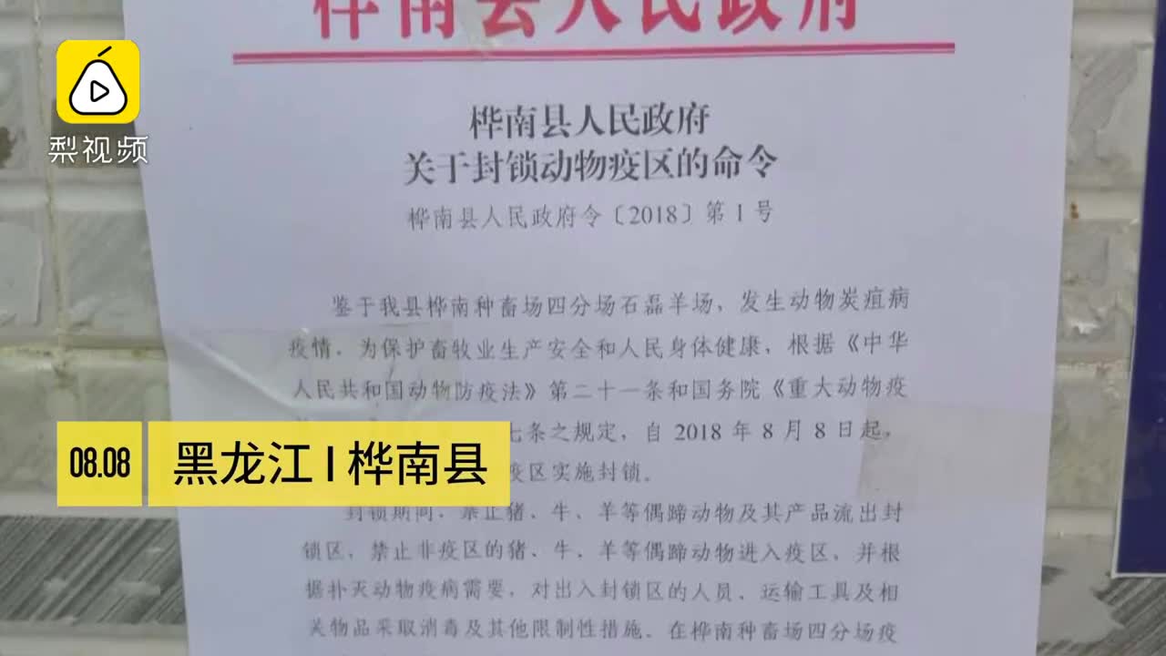 [视频]黑龙江发现疑似羊炭疽疫情 已经捕杀255只羊