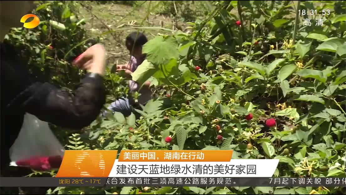 美丽中国，湖南在行动 建设天蓝地绿水清的美好家园