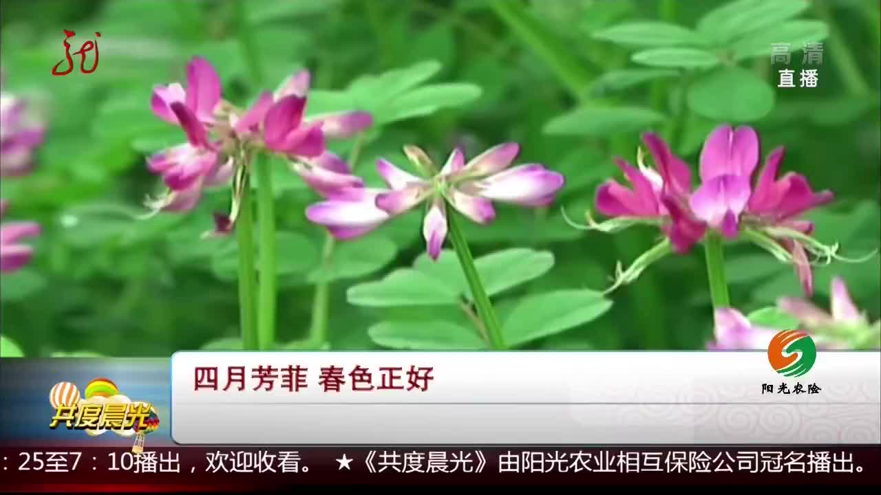 [视频]四月芳菲 春色正好