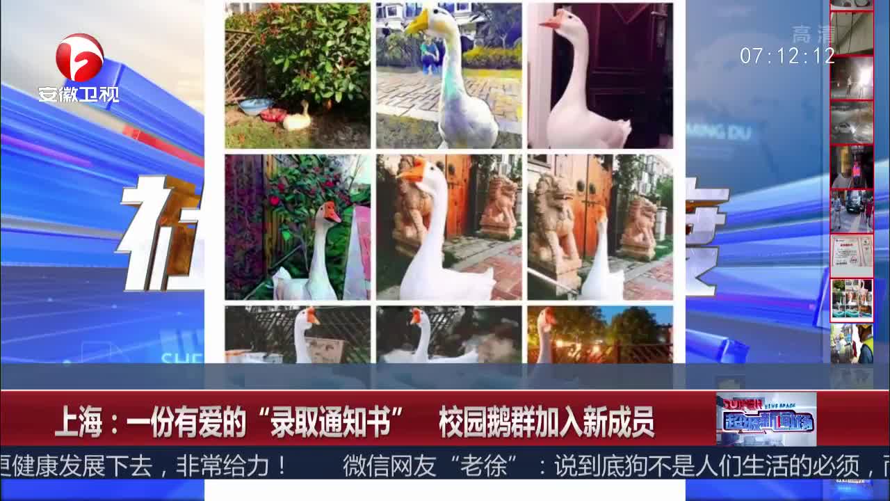 [视频]一份有爱的“录取通知书” 校园鹅群加入新成员