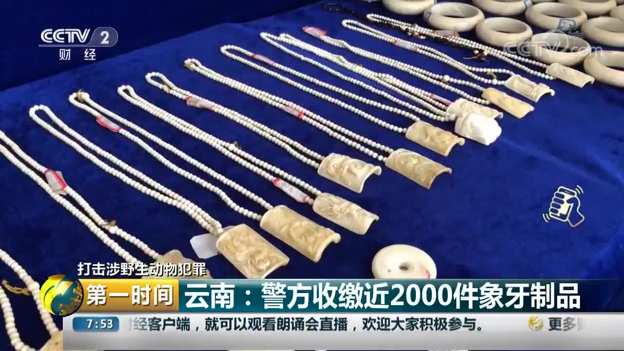 [视频]打击涉野生动物犯罪 云南：警方收缴近2000件象牙制品