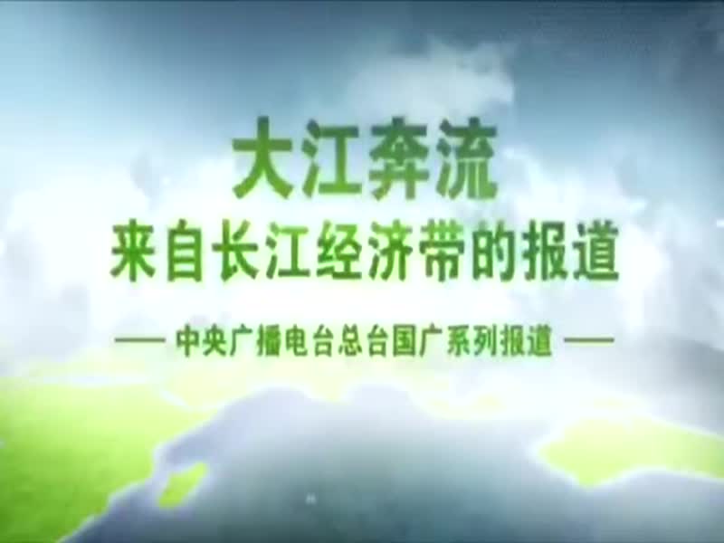 [视频]【大江奔流—来自长江经济带的报道】看如何做好“加减法”，还长江两岸一片绿色