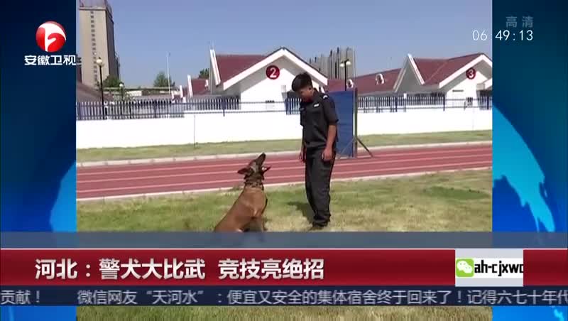 [视频]河北：警犬大比武 竞技亮绝招