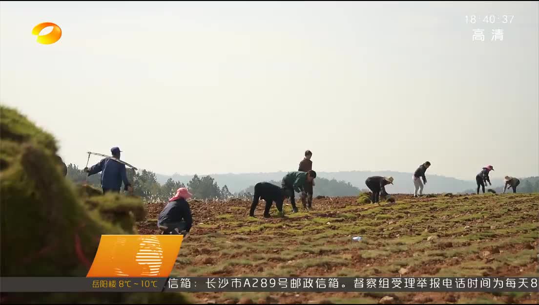 环保督察“回头看” 常德鼎城：关闭矿区 生态恢复