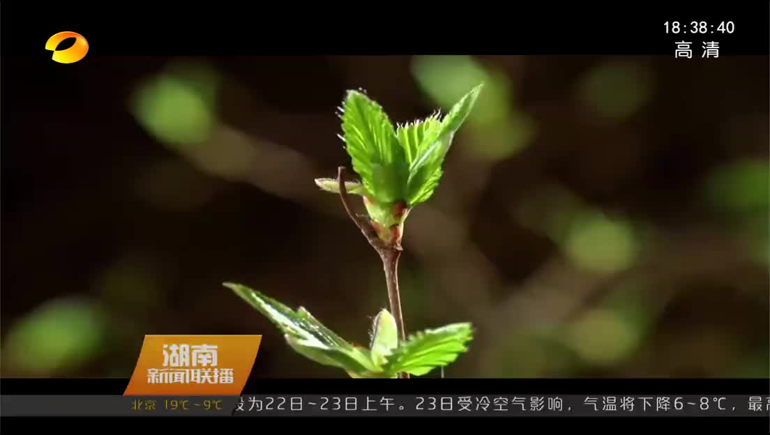 春满潇湘 百花飘香