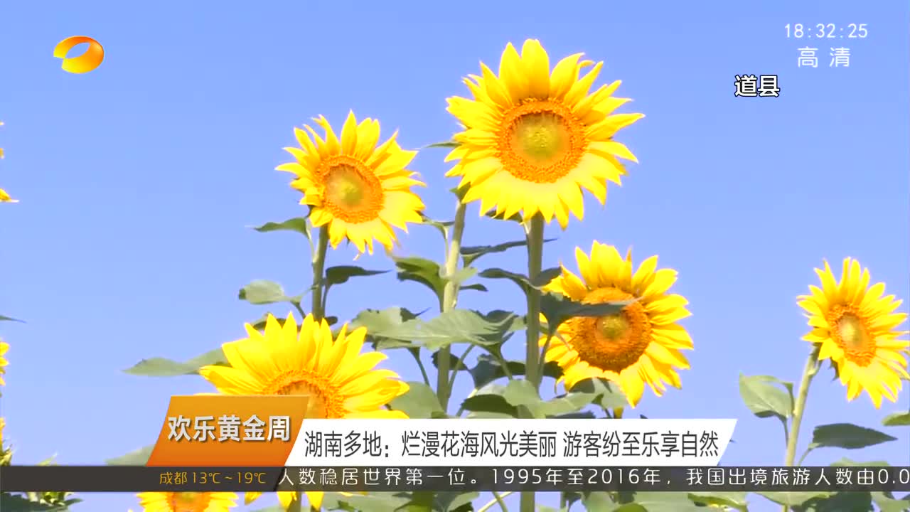 湖南多地：烂漫花海风光美丽 游客纷至乐享自然