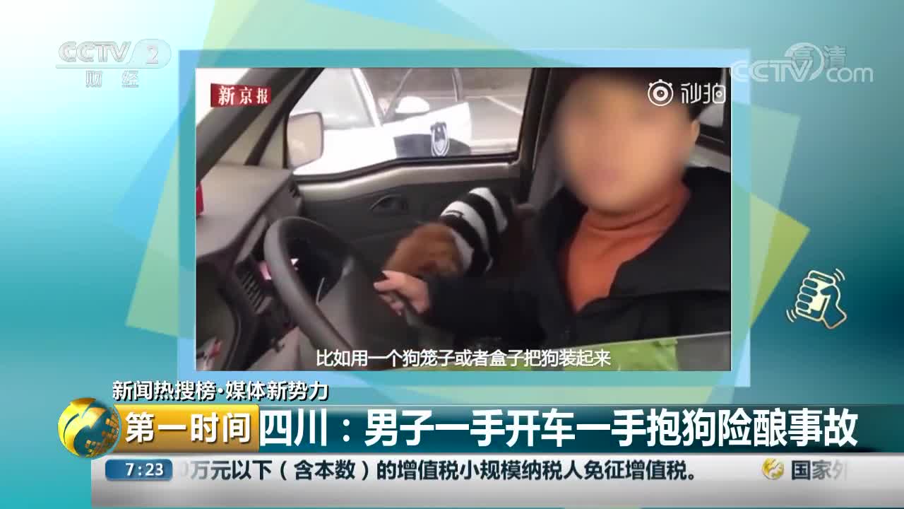 [视频]四川：男子一手开车一手抱狗险酿事故