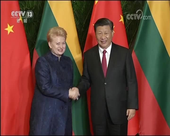 [视频]习近平会见立陶宛总统
