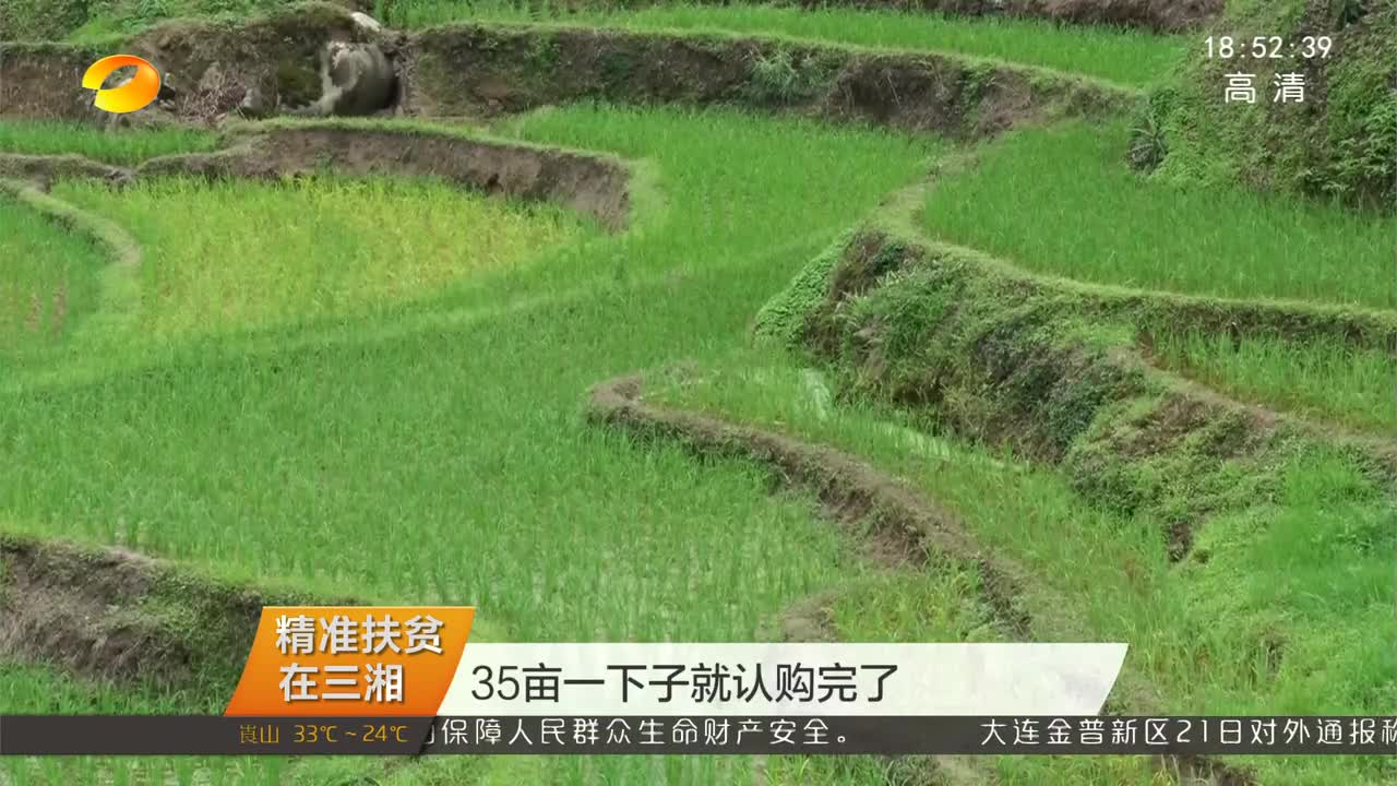 资兴：生态大米“定制” 助力贫困户脱贫