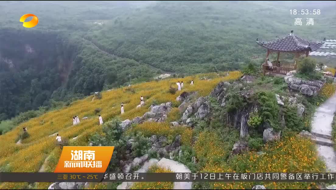 怀化大坪村：“石林花海”绽放