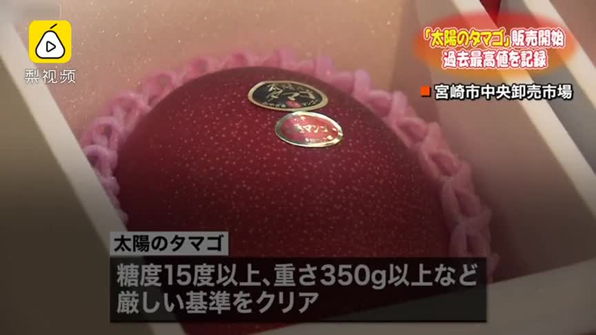 [视频]日本顶级芒果太阳蛋正式上市 两颗拍出50万日元