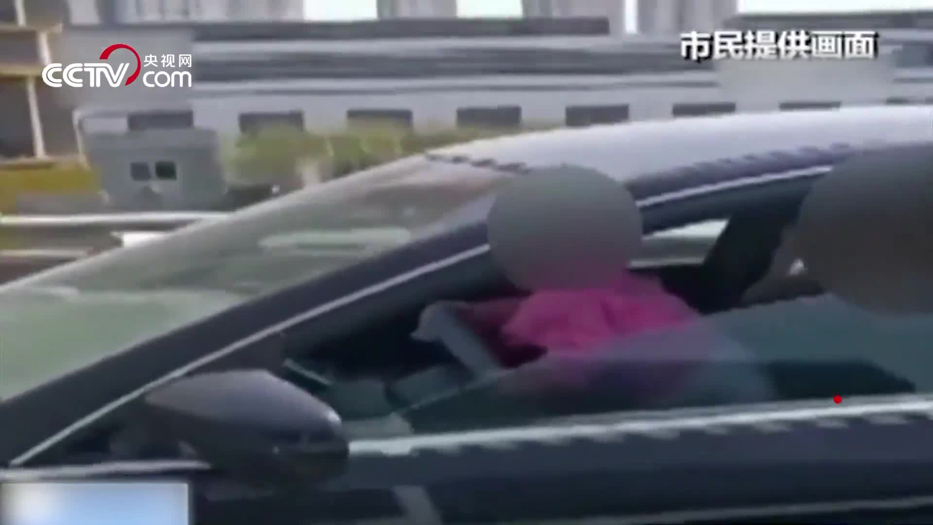 [视频]一岁女孩站在父亲怀里“开车” “打方向”吓坏路人