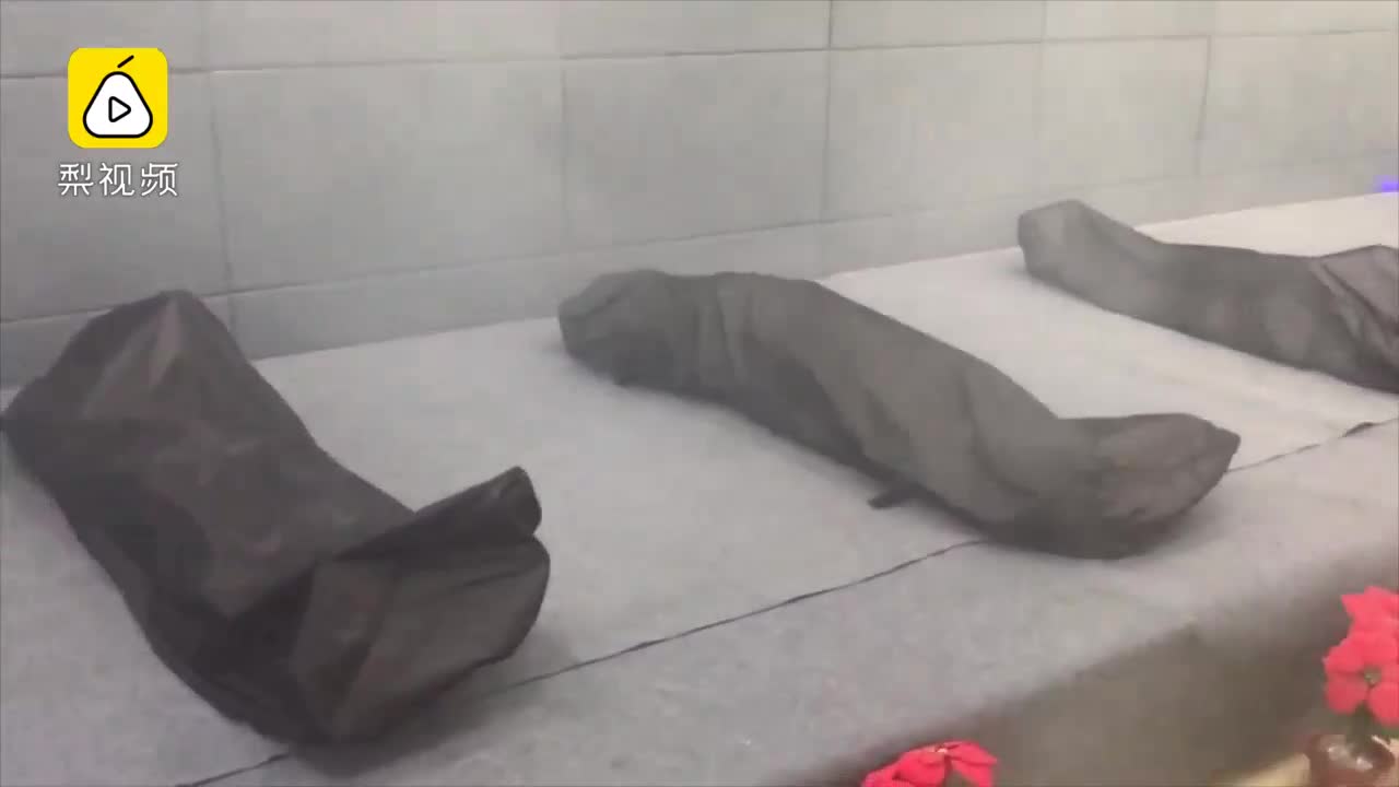 [视频]高校学生躺尸袋体验死亡，感知生命