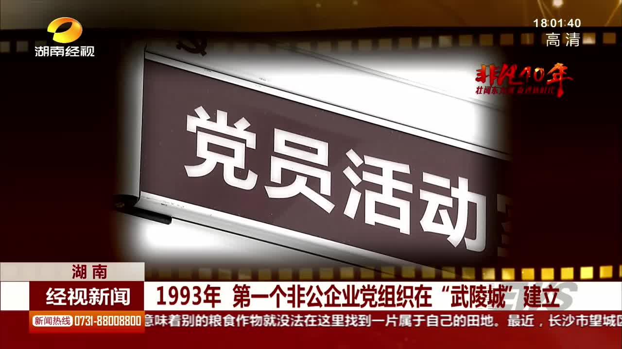 1993年 第一个非公企业党组织在“武陵城”建立